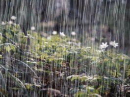 Vaguada continuará generando lluvias en gran parte de la República Dominicana