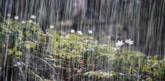 Vaguada continuará generando lluvias en gran parte de la República Dominicana