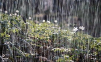 Vaguada continuará generando lluvias en gran parte de la República Dominicana