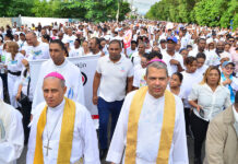 Miles de católicos dieron “un paso por mi familia”