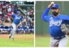 Hernández y Valdez lideran triunfo del Licey sobre el Escogido