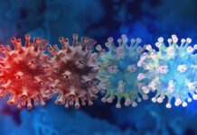 Vigilan comportamiento de nueva variante del coronavirus