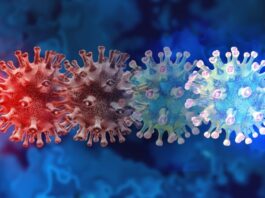 Vigilan comportamiento de nueva variante del coronavirus