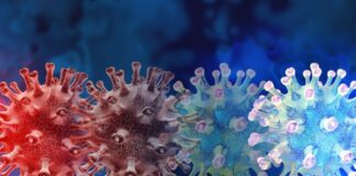 Vigilan comportamiento de nueva variante del coronavirus