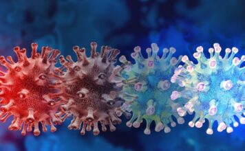 Vigilan comportamiento de nueva variante del coronavirus