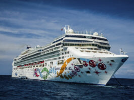 Conoce el Norwegian Pearl, primer crucero en llegar al puerto de Cabo Rojo