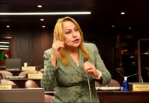 Diputada Ana María Peña lamenta persistencia de altos índices de criminalidad en el país