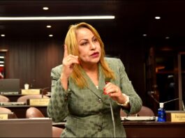 Diputada Ana María Peña lamenta persistencia de altos índices de criminalidad en el país