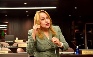 Diputada Ana María Peña lamenta persistencia de altos índices de criminalidad en el país