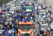 Licey pinta de azul la ciudad celebrando bicampeonato
