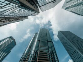 Los resultados de la capitalización de las empresas del Estado