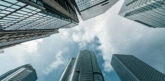 Los resultados de la capitalización de las empresas del Estado