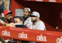 Albert Pujols será el nuevo dirigente del Escogido