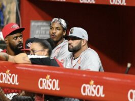 Albert Pujols será el nuevo dirigente del Escogido