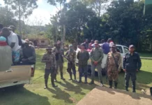 Protección Ambiental arrestó en enero a 350 personas por delitos ambientales