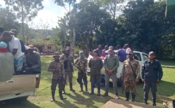 Protección Ambiental arrestó en enero a 350 personas por delitos ambientales