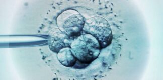 La controvertida decisión judicial en EE.UU. que considera que los embriones congelados son niños (y los efectos que está teniendo)