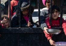 «El mundo se preguntará por qué la ONU no garantizó la ayuda humanitaria para Gaza»