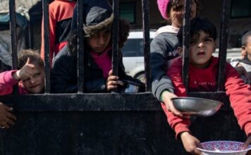 «El mundo se preguntará por qué la ONU no garantizó la ayuda humanitaria para Gaza»