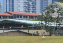 México lanza no-hitter a Panamá en la SDC Kids 2024