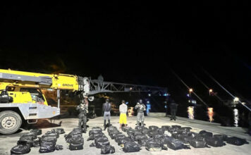 Incautan 1.4 toneladas de cocaína en costas de La Romana