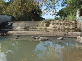 Haití abre canal de Juana Méndez y bajo caudal del rio Masacre en la Vigía Dajabón