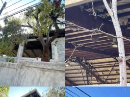 Reconstrucción del Polideportivo de Las Caobas en abandono