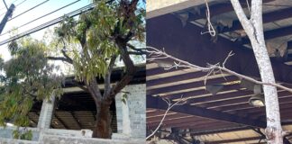 Reconstrucción del Polideportivo de Las Caobas en abandono