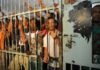 Denuncian ante la CIDH condiciones ‘inhumanas’ de reclusos en RD