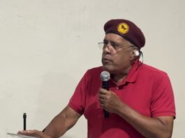 Luis “El Gallo” advierte crisis de Haití no es responsabilidad de RD