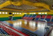 Leones de Santo Domingo regresan a San Carlos