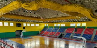 Leones de Santo Domingo regresan a San Carlos