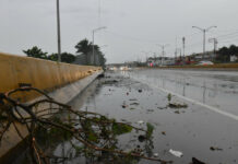 Entre Keynes, Friedman, natalidad y longevidad