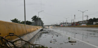 Entre Keynes, Friedman, natalidad y longevidad