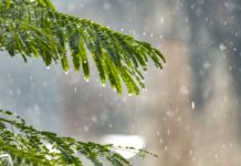 Un ciclón se podría formar en los próximos siete días, según Indomet