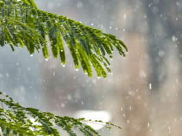 Un ciclón se podría formar en los próximos siete días, según Indomet