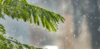 Un ciclón se podría formar en los próximos siete días, según Indomet