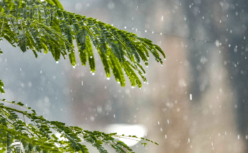 Un ciclón se podría formar en los próximos siete días, según Indomet