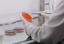 Médicos llaman a no alarmarse ante posibles casos de ántrax en Haití