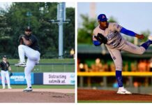 Luis Vargas y Elvin Liriano pactan con los Toros