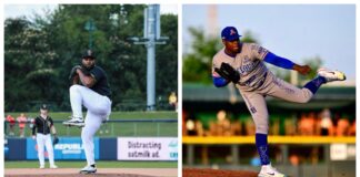 Luis Vargas y Elvin Liriano pactan con los Toros