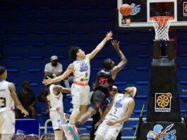 Titanes doblegan a Leones en la LNB