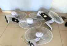 Policía apresa dos hombres y recupera abanicos sustraídos en escuela de Bahoruco