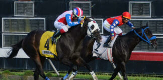 Jonathan Saldaña gana tres carreras en el Quinto