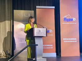 Circe Almánzar plantea la urgencia de regular juegos de azar en línea en RD