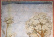 San Francisco de Asís. PMAGS. Homilia de la Misa del 4/10/24.