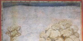 San Francisco de Asís. PMAGS. Homilia de la Misa del 4/10/24.