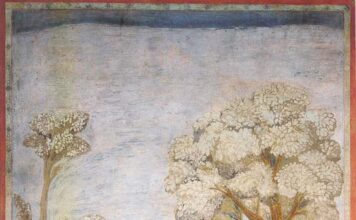 San Francisco de Asís. PMAGS. Homilia de la Misa del 4/10/24.