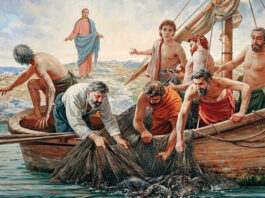 San Francisco de Borja S.J. PMAGS. Homilía de la Misa del 3/10/24.