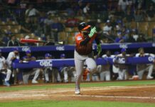 Rivera y Dermody comandan victoria de los Toros sobre el Licey